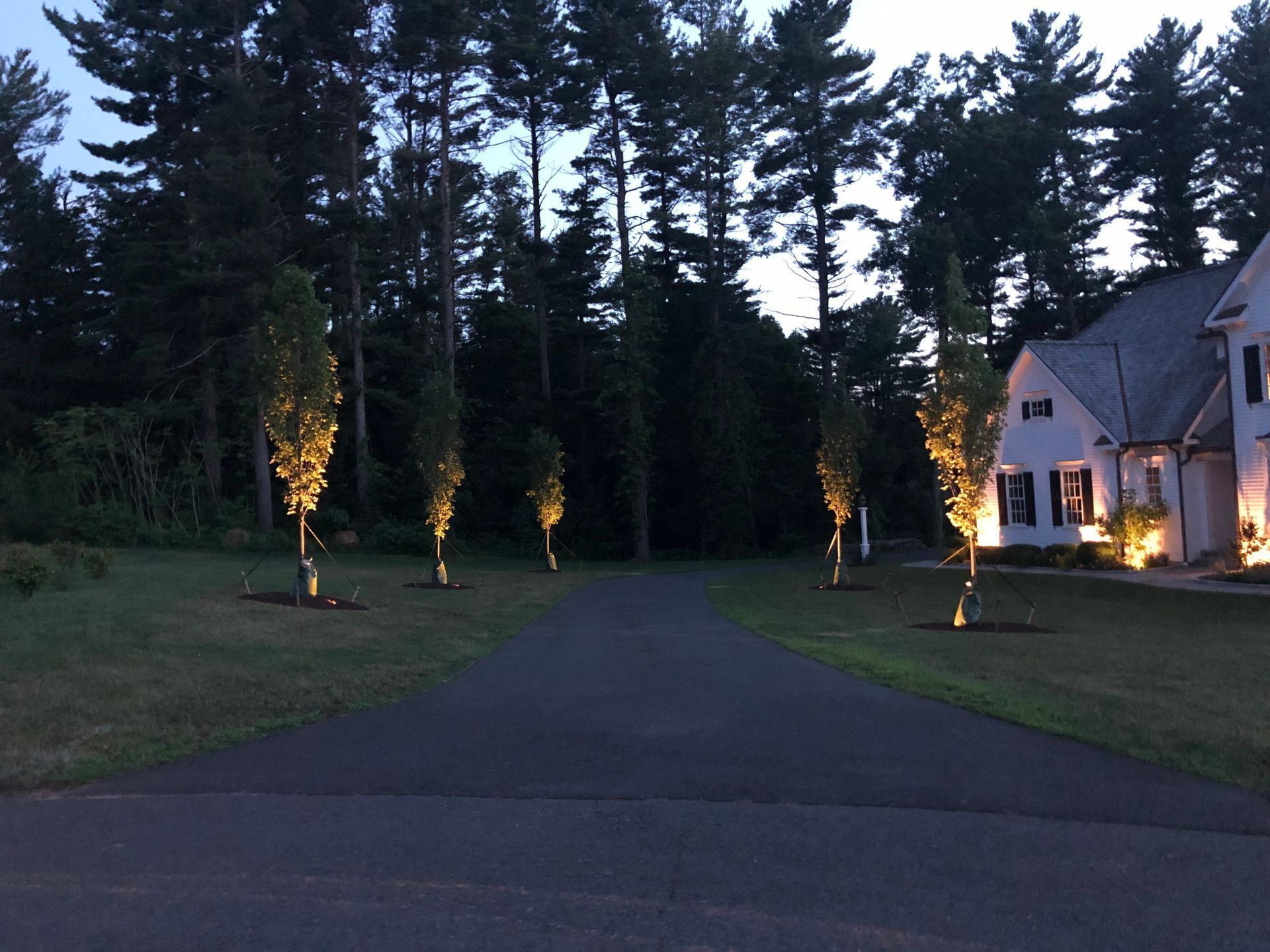 landscape lighting