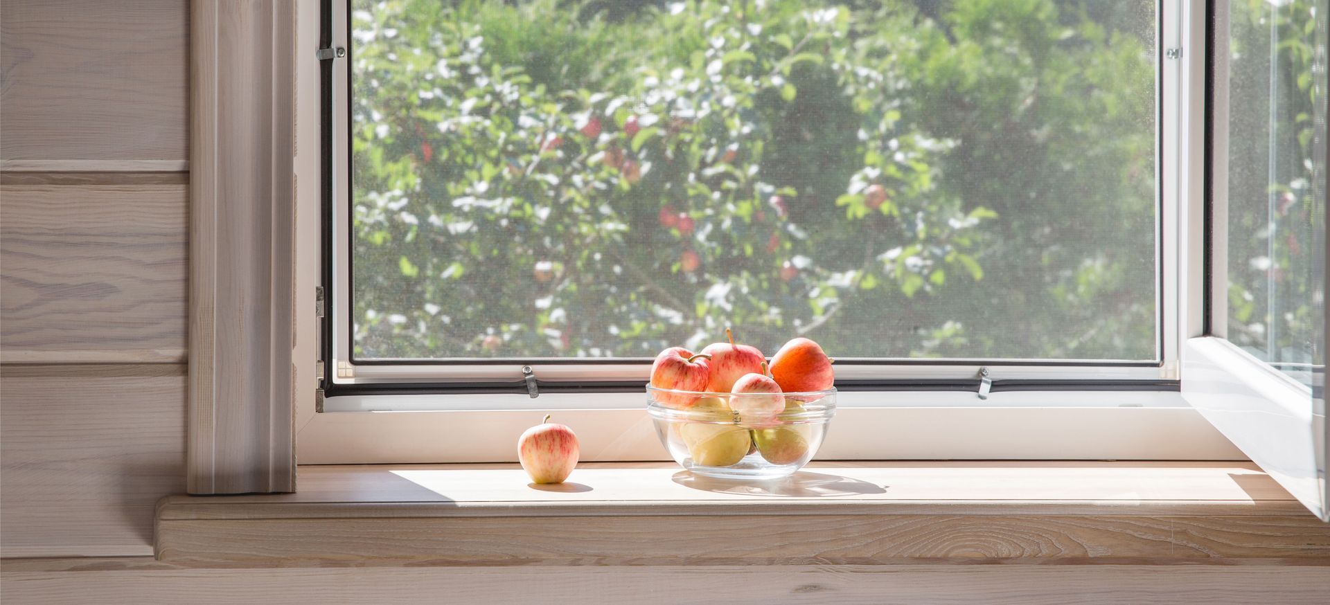 Sunlit kitchen windowsill with a bowl of apples and a single apple beside it