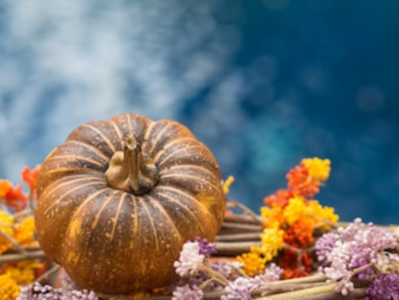 Brown pumpkin with colorful fall foliage against a blurred blue background.