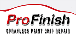 Pro Finish Sprayless Paint Chip Repair