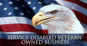 Service Disabled Veteran Owned Business