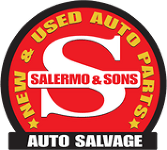 Salermo & Sons Inc logo