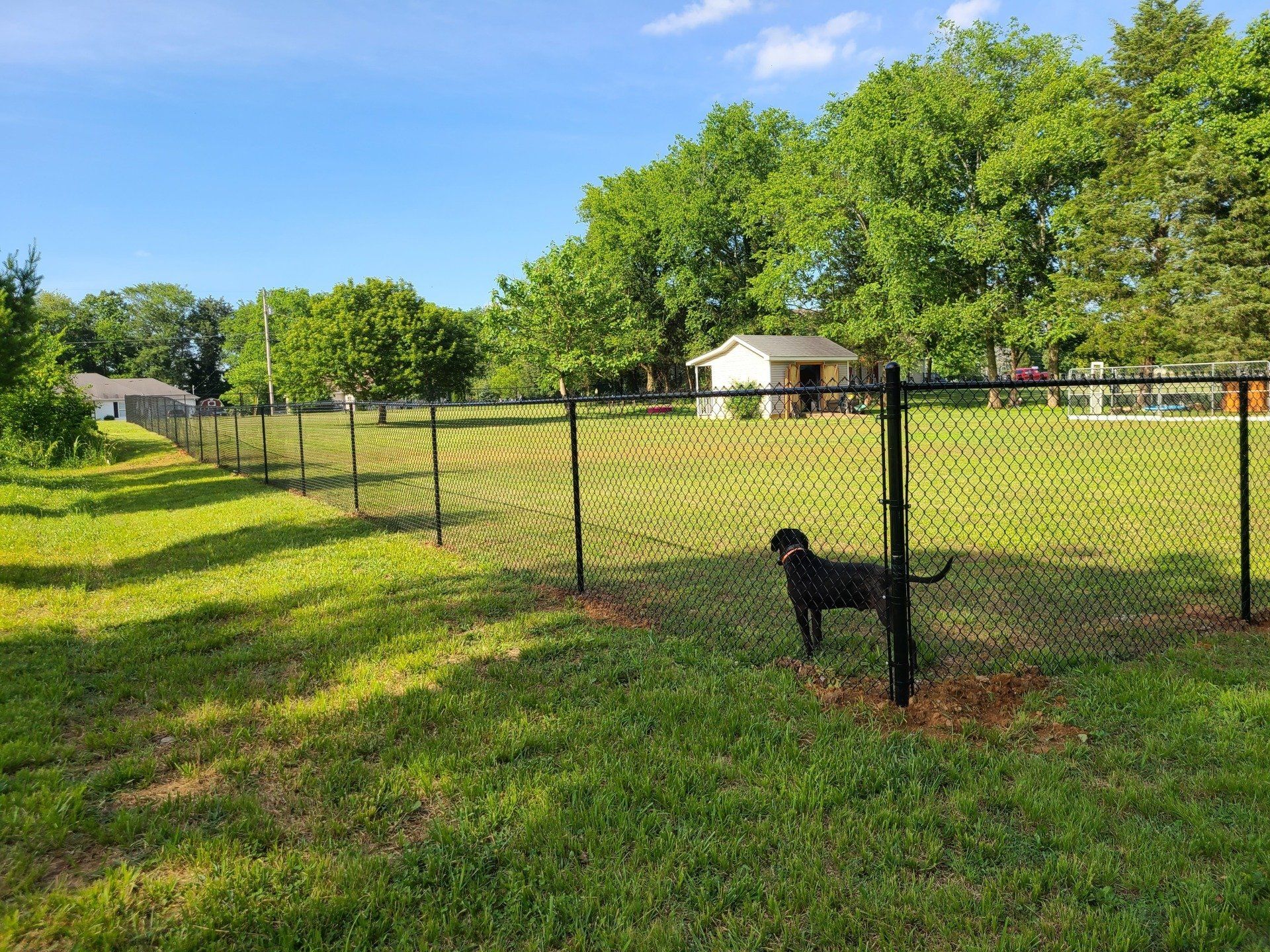 ChainLink Fencing Barbwire Murfreesboro, TN