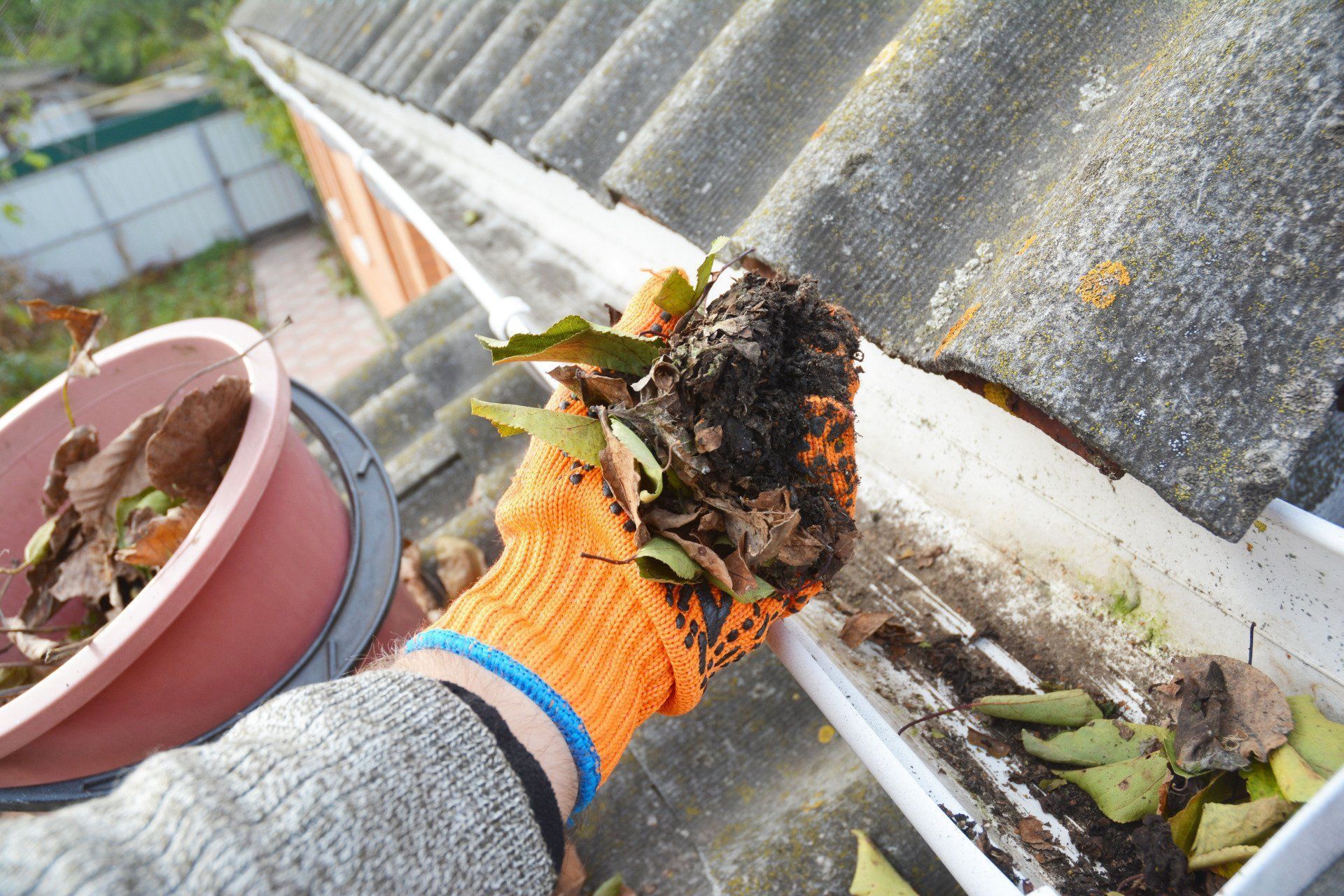 Roof Cleaning