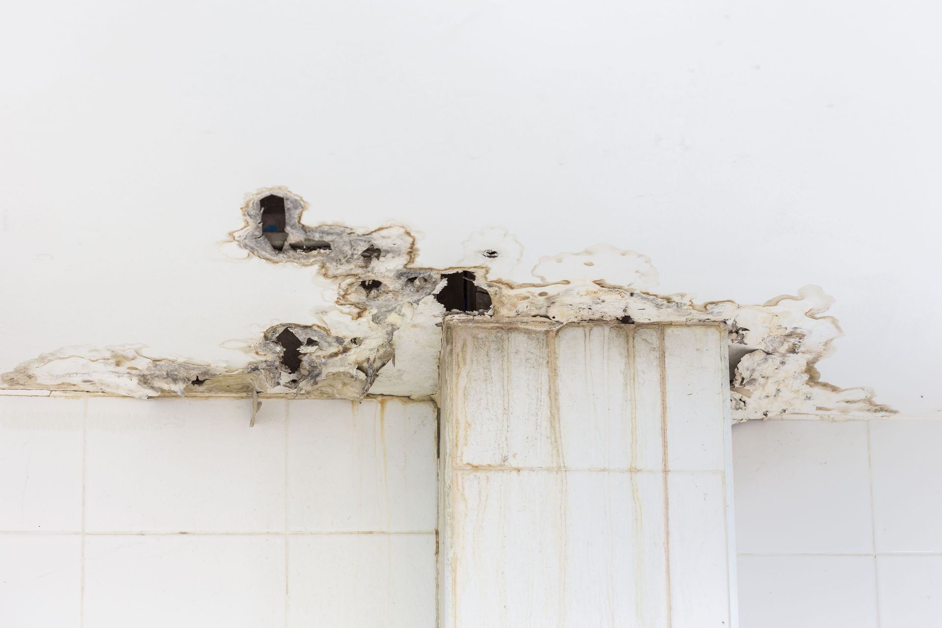 Repair or Replace: What to Do with a Roof Leak