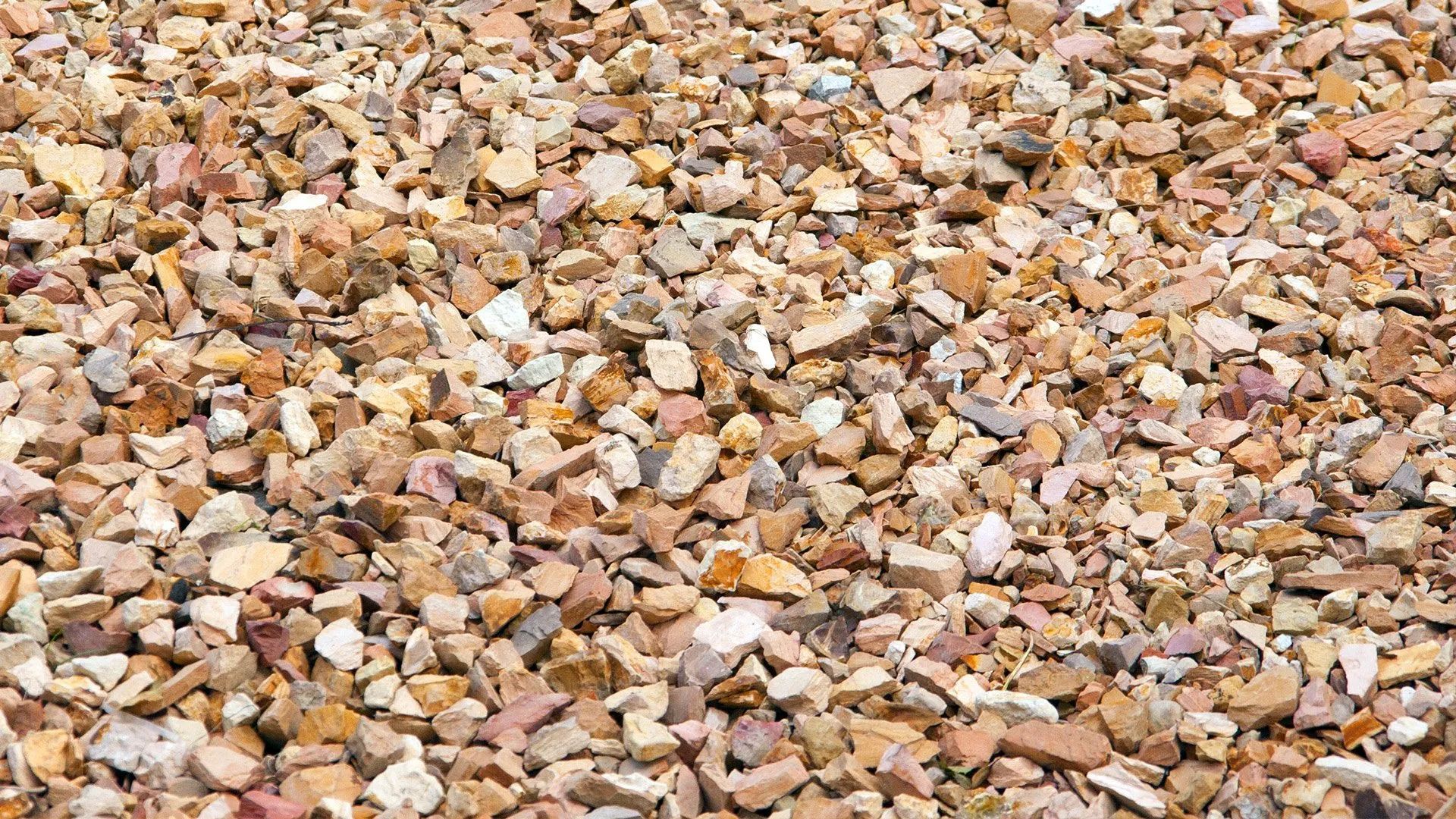 Close-up of a bed of mixed tan, white, and brown gravel stones