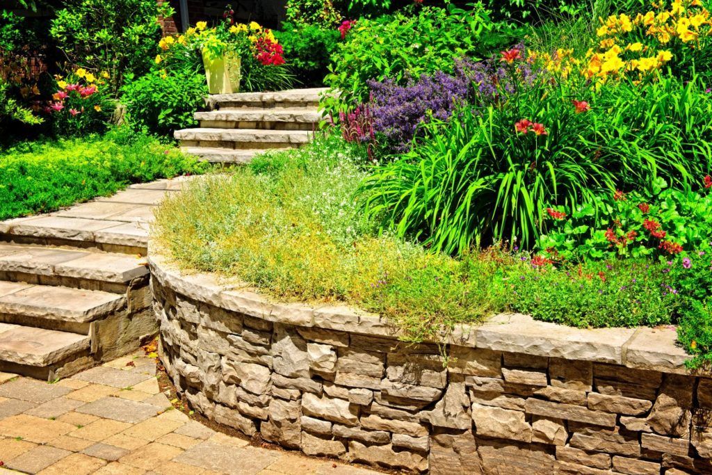 Stone steps and a curved retaining wall bordering a lush garden with yellow and purple flowers.
