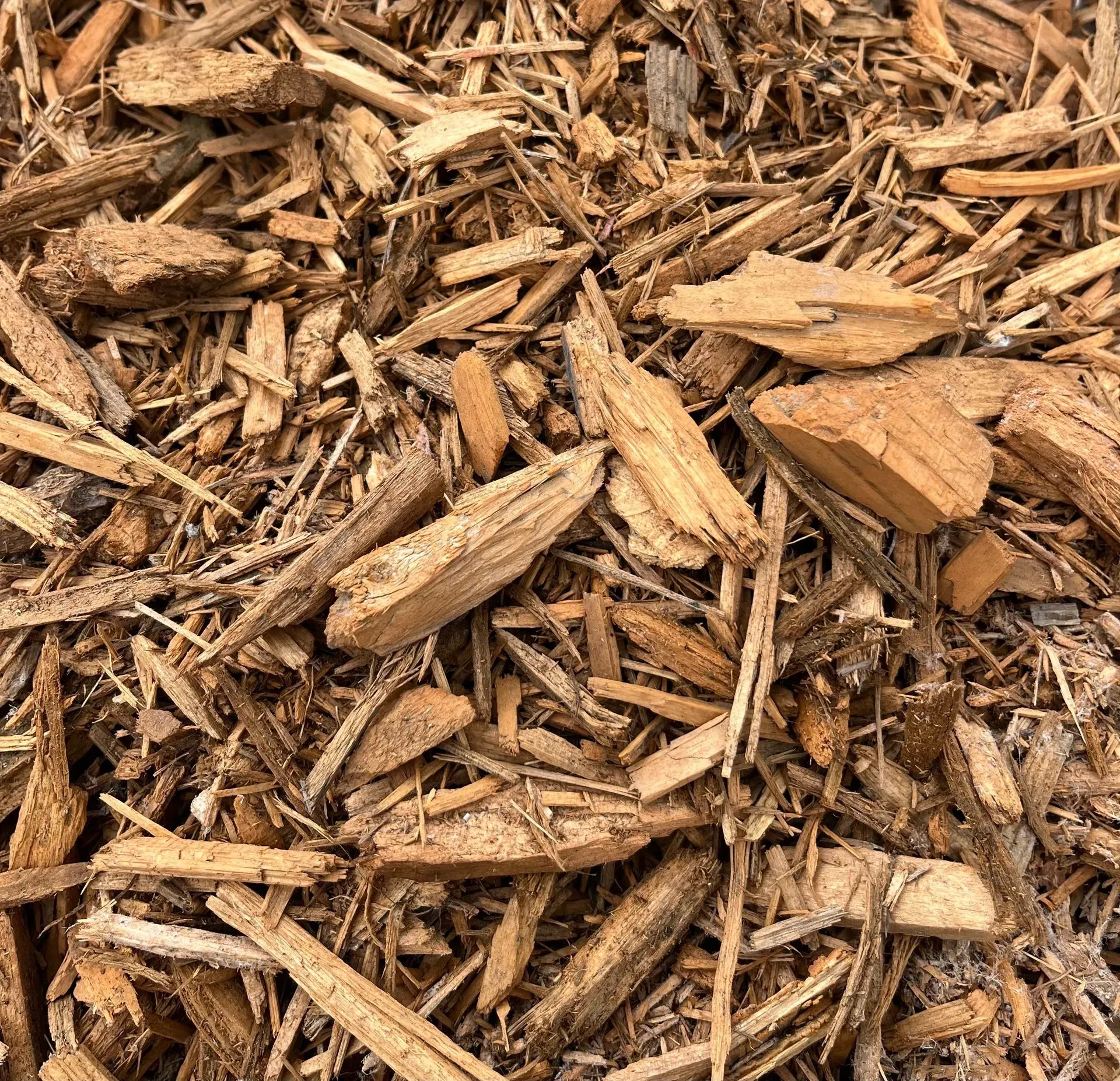 A close-up of light brown wood mulch chips covering the ground.