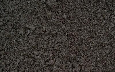 A close-up view of dark, moist soil with a grainy, textured surface.