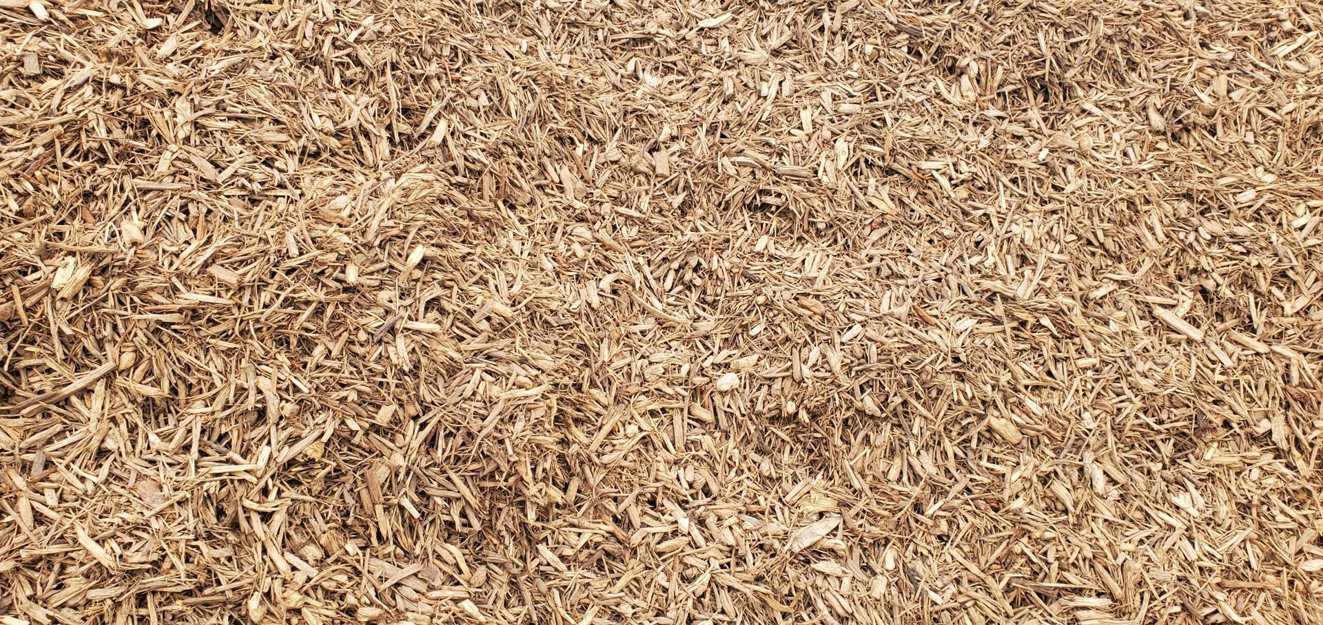 Close-up of tan wood chips or mulch covering the ground.