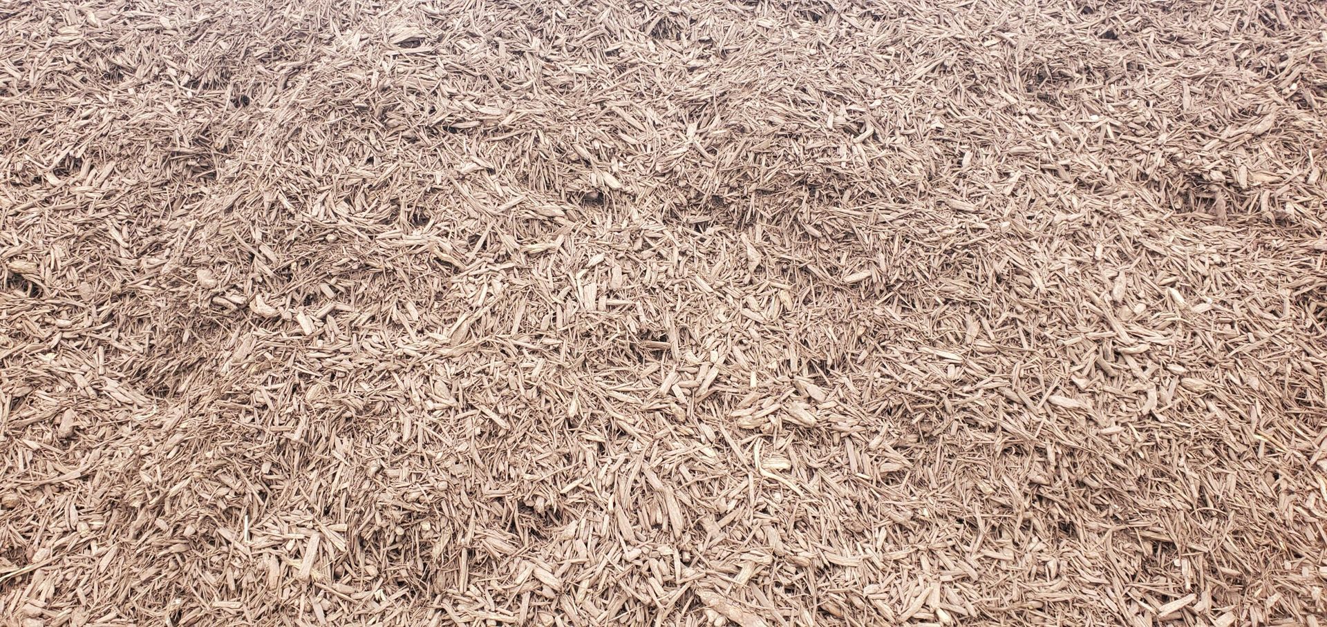 Close-up of dry brown wood chips or mulch covering the ground