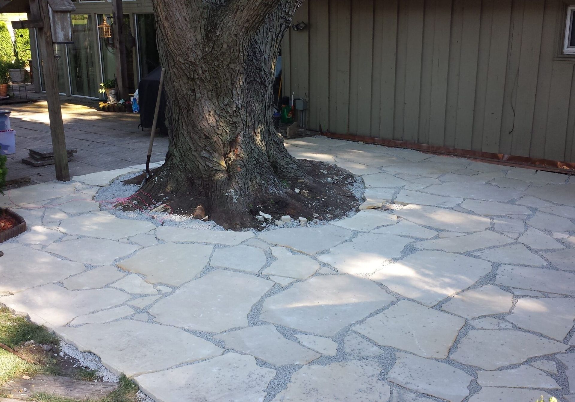 A backyard patio featuring light-colored, irregular stone pavers arranged around a large tree trunk.
