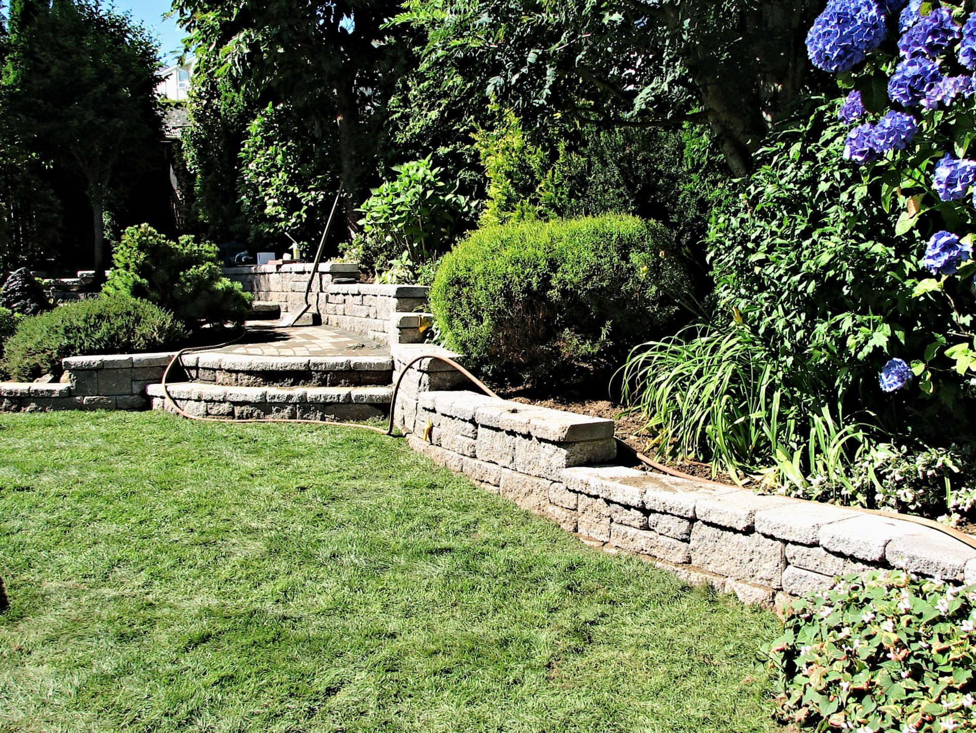 Stone steps and a low wall in a lush garden with green grass and purple flowers along the right side.