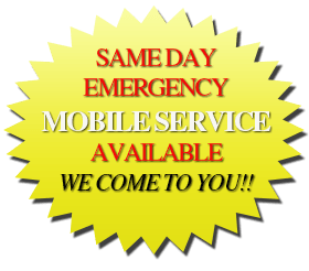 Same day mobile service