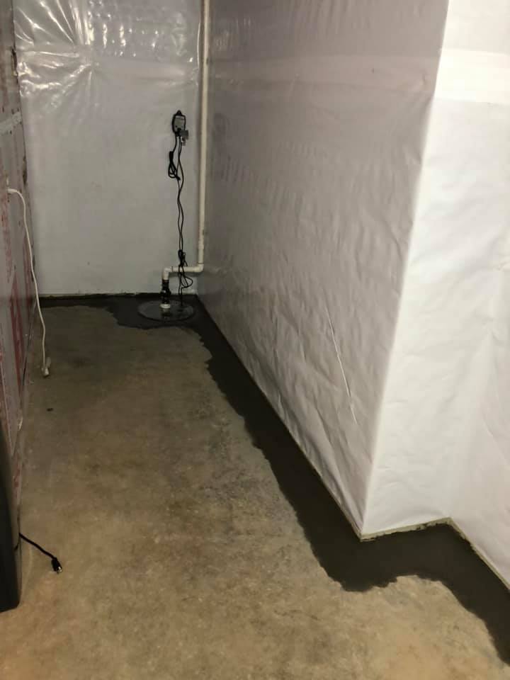 Mold remediation service