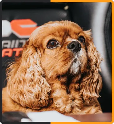 Photo of Charlie