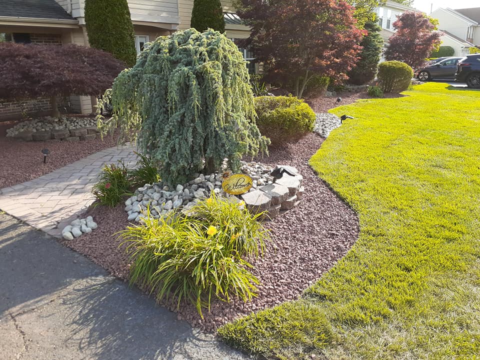 A lush green lawn with a weeping willow tree in the middle of it.