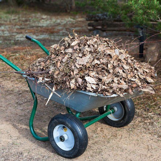 Spring and Fall Cleanups