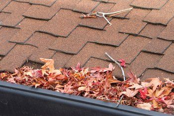 A gutter filled with leaves on a roof.