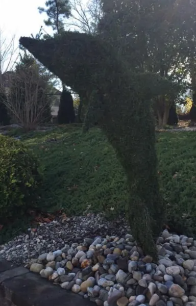A statue of a dolphin made out of a tree in a garden.