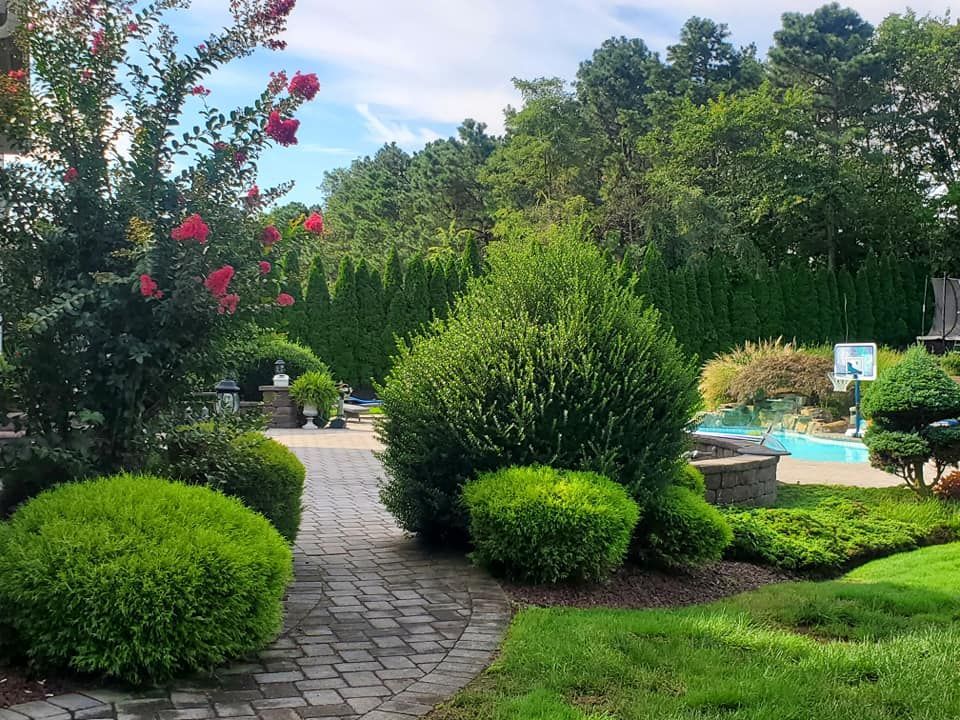 A brick walkway leading to a swimming pool surrounded by bushes and trees