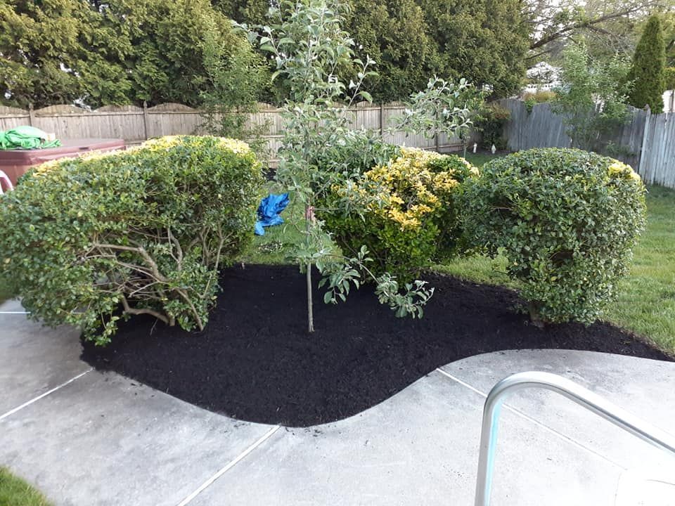 A concrete walkway leading to a garden with trees and bushes.