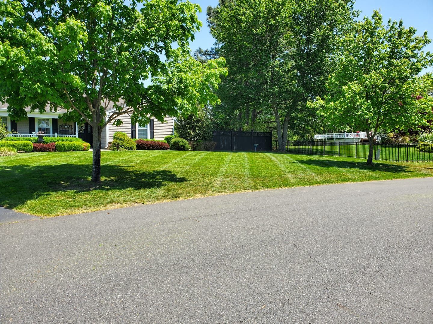 A driveway leading to a house with a lush green lawn and trees