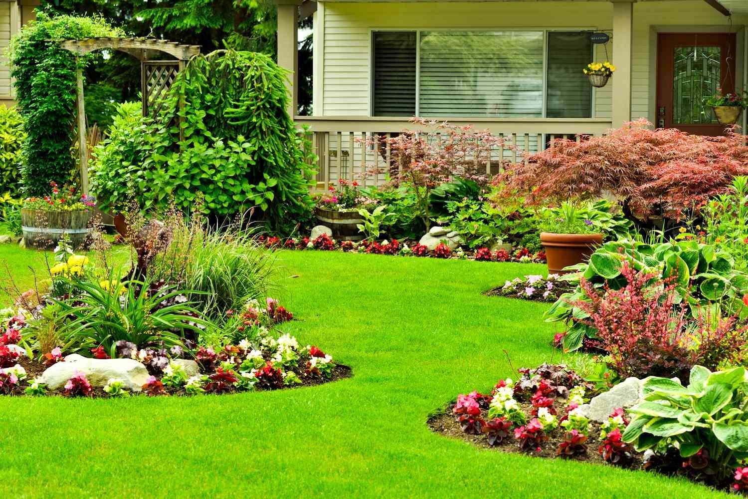 Lawn Maintenance