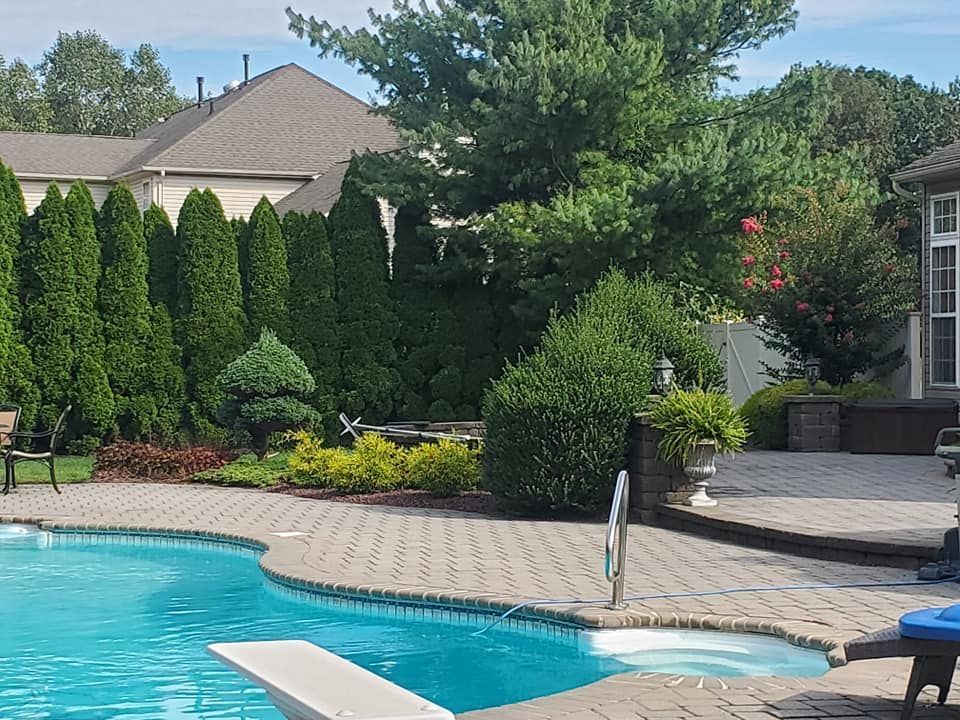 A large swimming pool with a diving board in the middle