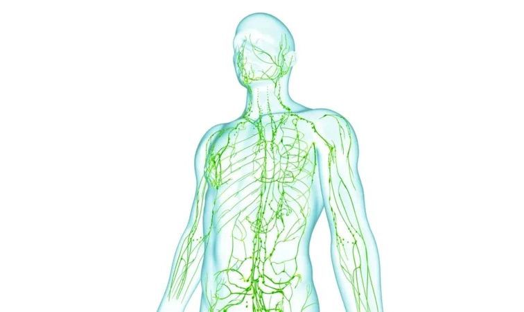 Image placeholder in gray, with