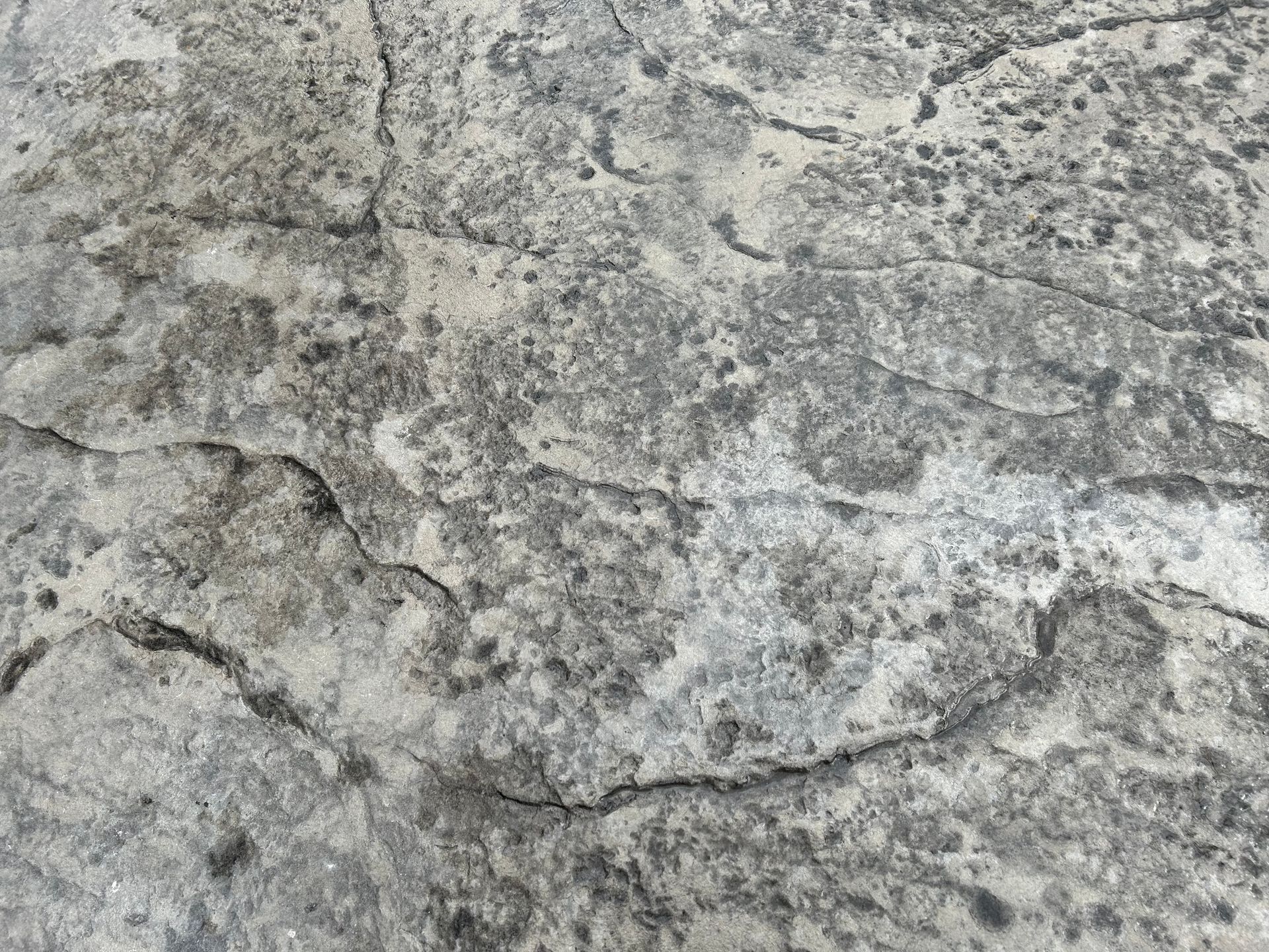 A close up of a gray rock texture.