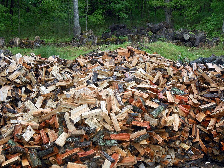 Firewood