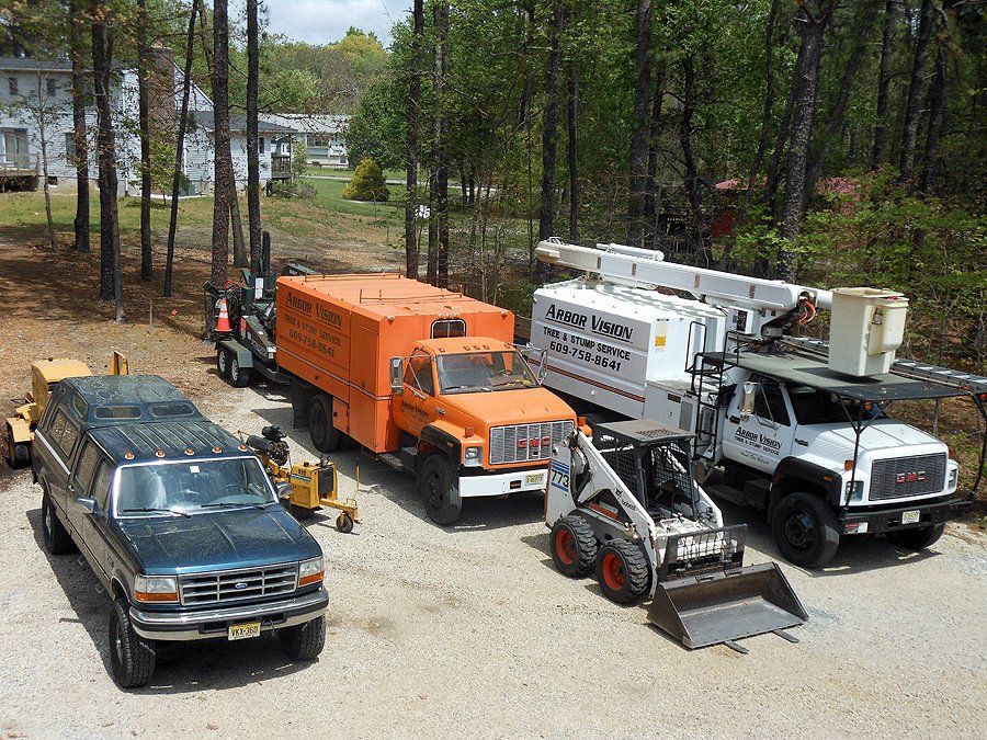 Tree trimming equipment