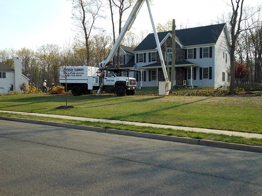 tree service