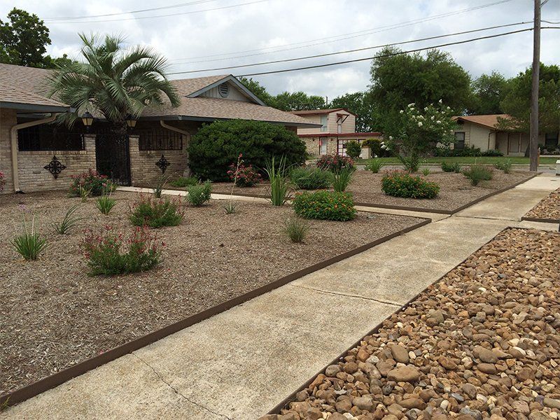 Xeriscape