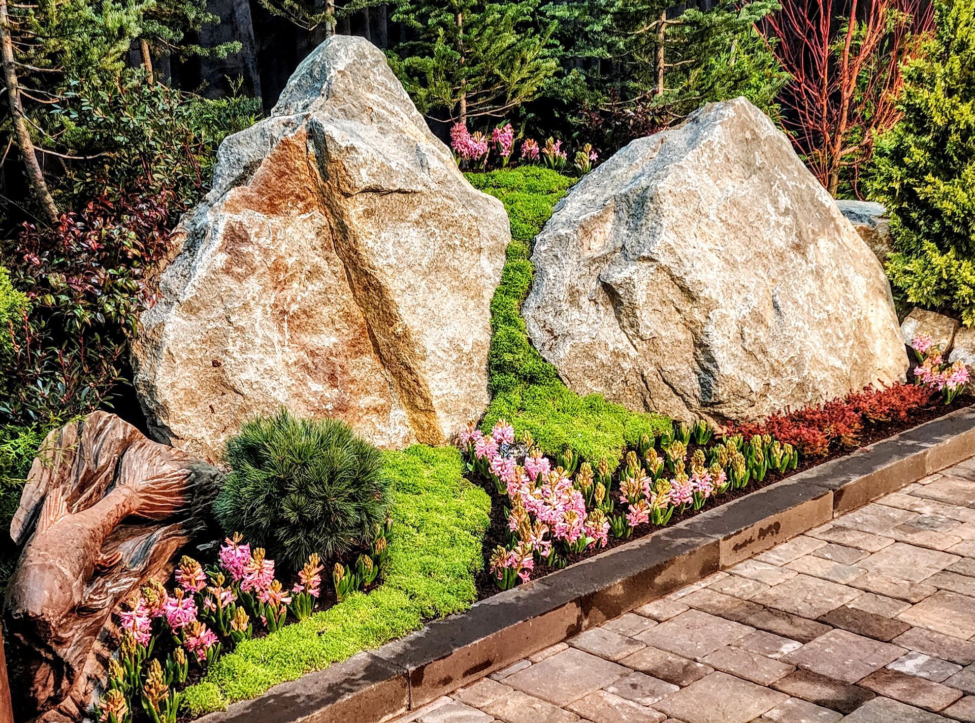 There are a lot of rocks in the garden.