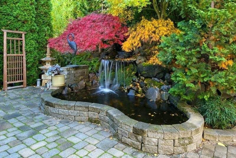 There is a pond with a waterfall in the middle of the garden.