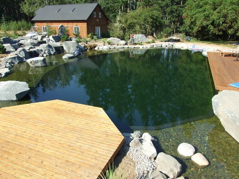 A large pond with a house in the background