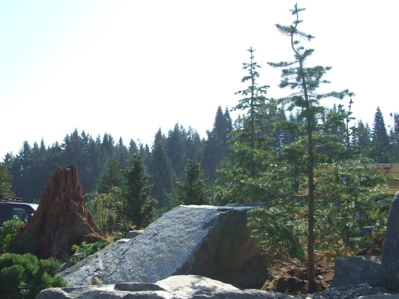 A waterfall in the middle of a forest with trees in the background