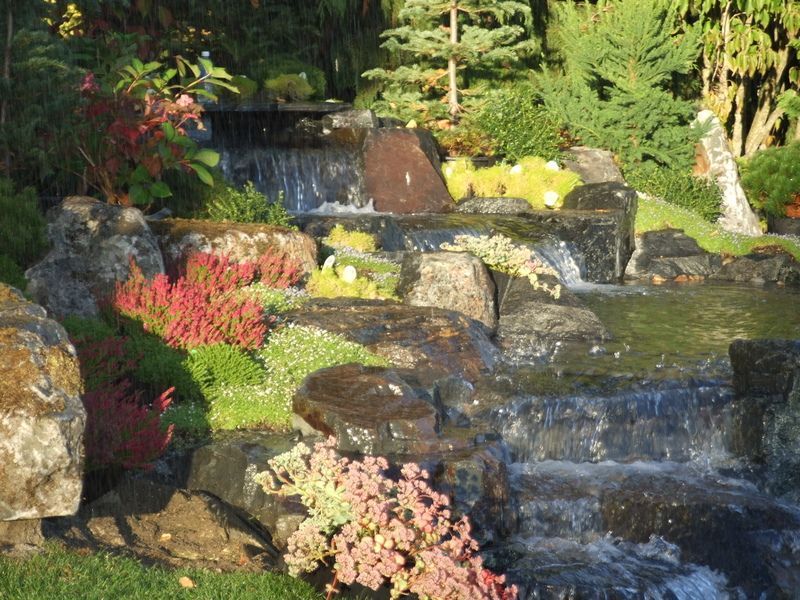 A waterfall surrounded by rocks and flowers in a garden