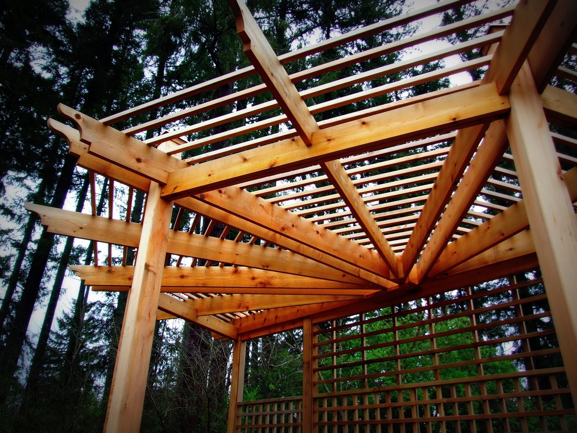 A wooden structure in the middle of a forest