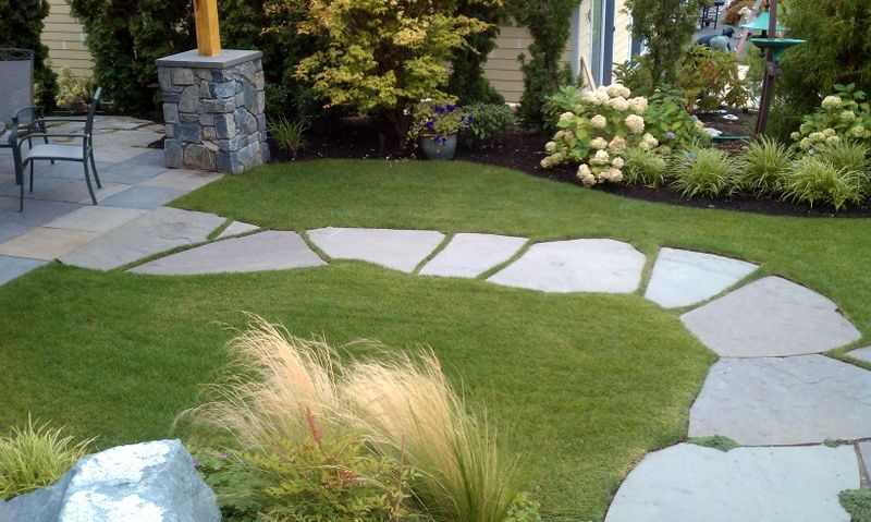 A garden with a stone walkway going through it