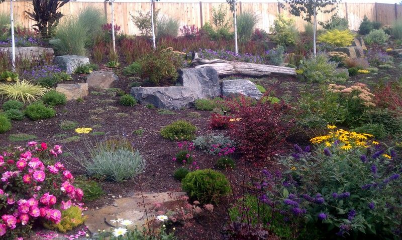 A garden filled with lots of flowers and plants.