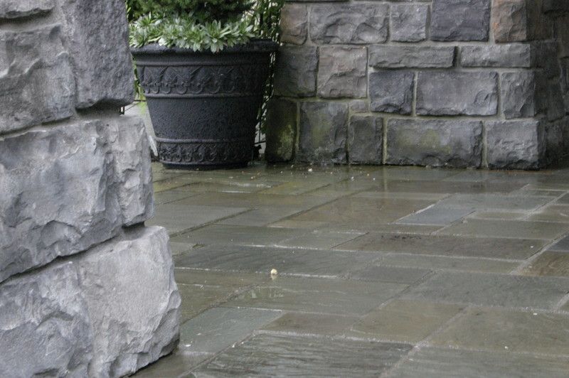 A potted plant is sitting on a stone patio next to a stone wall.