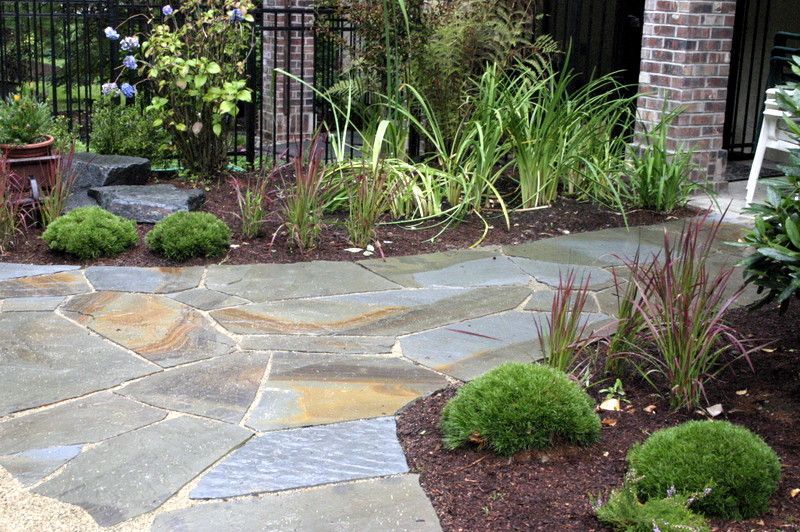 A stone walkway surrounded by plants and bushes in a garden.