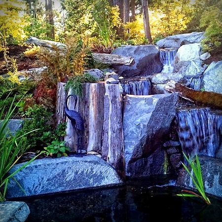 A waterfall in the middle of a forest with a bird standing next to it.