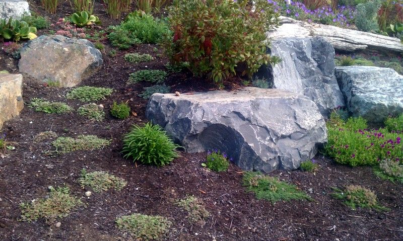 A large rock in the middle of a garden surrounded by plants and rocks.