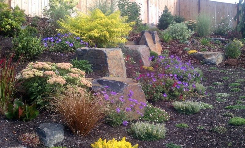 A garden filled with lots of flowers and rocks.