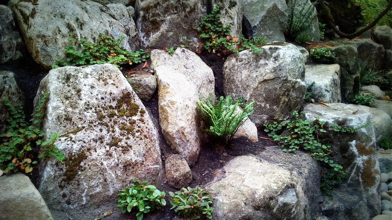 A pile of rocks with plants growing out of them.