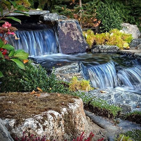 A waterfall is surrounded by rocks and plants in a garden.